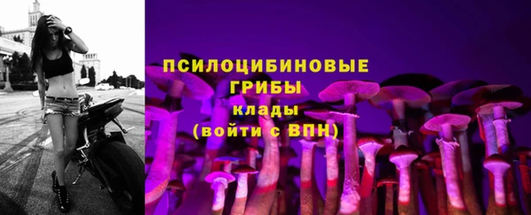 стафф Карпинск
