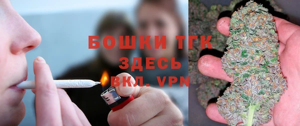 стафф Карпинск