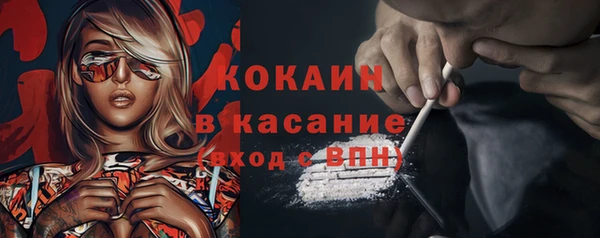 стафф Карпинск