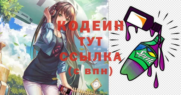 стафф Карпинск