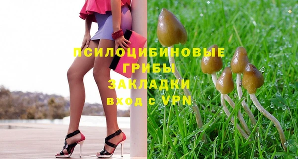 твердый Карталы