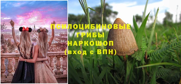 винт Касимов