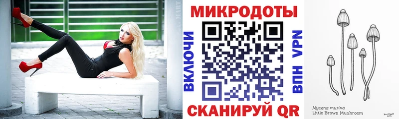 Псилоцибиновые грибы Psilocybe  Купить  Киселёвск 